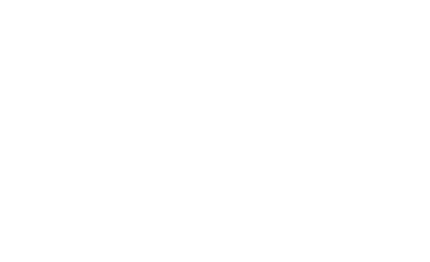 Boss_Audio